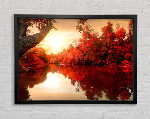 Stunning red forest reflections in the river Framed Print