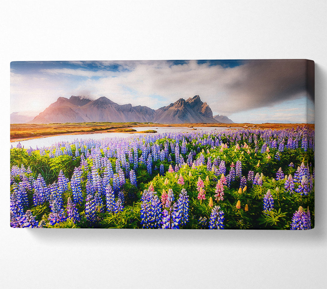  A Canvas Print of Loopins in the forest Canvas Print
