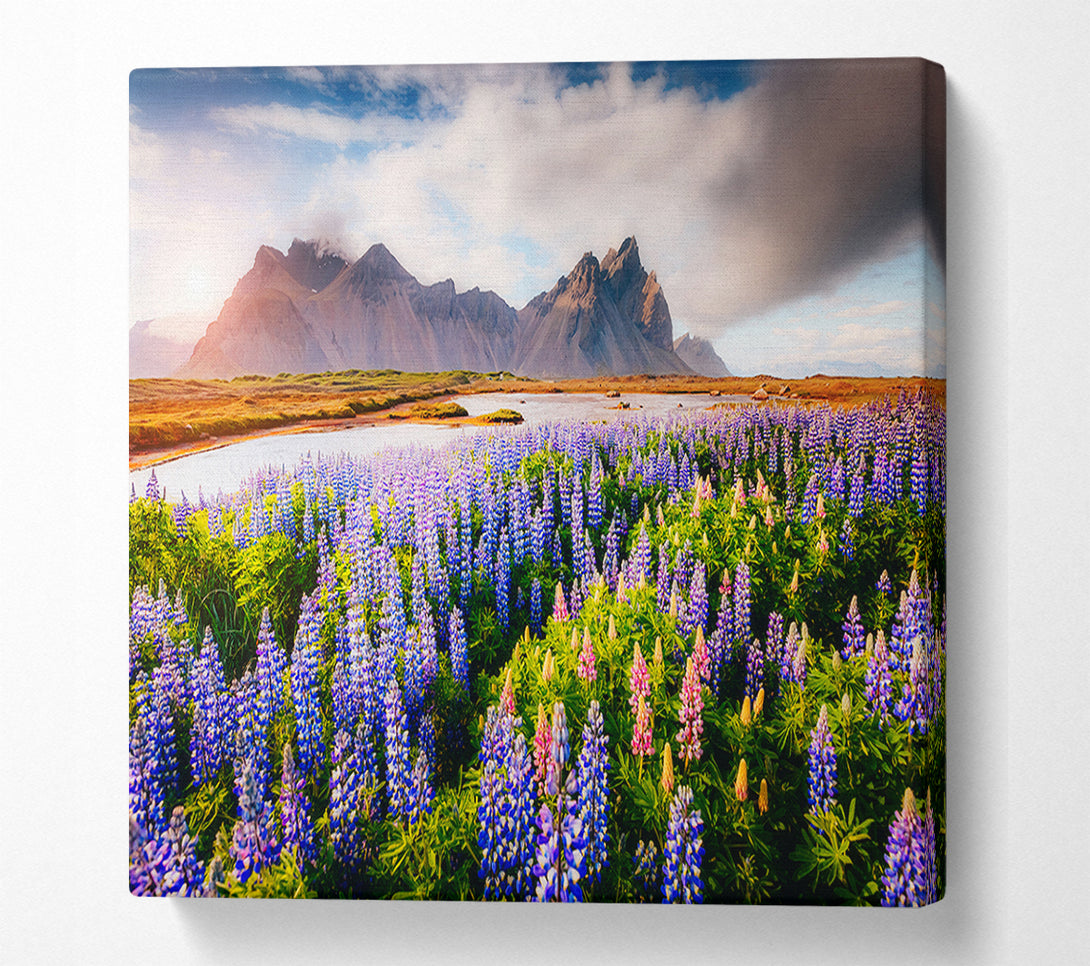  A Canvas Print of Loopins in the forest Canvas Print
