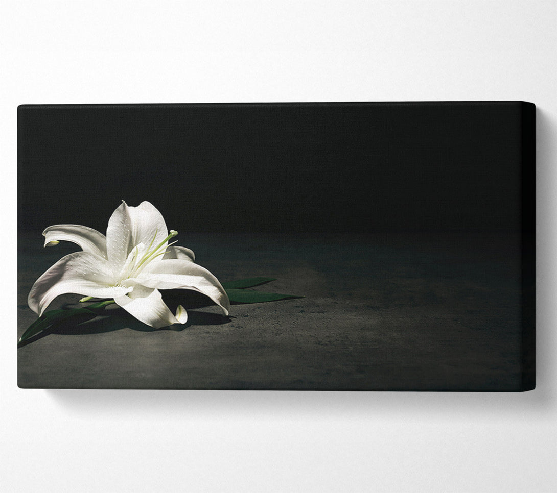  A Canvas Print of White lilly on the floor Canvas Art