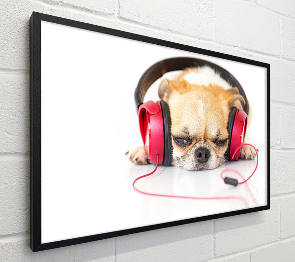 Dog listening to music relaxing