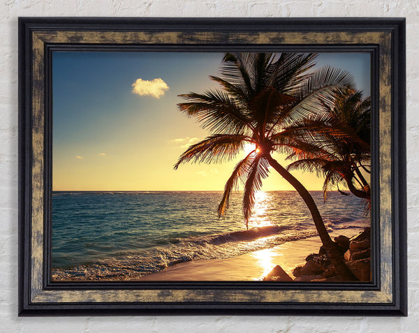 Palm tree paradise at dusk Framed Print