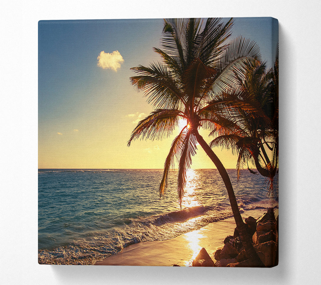  A Canvas Print of Palm tree paradise at dusk Canvas Print