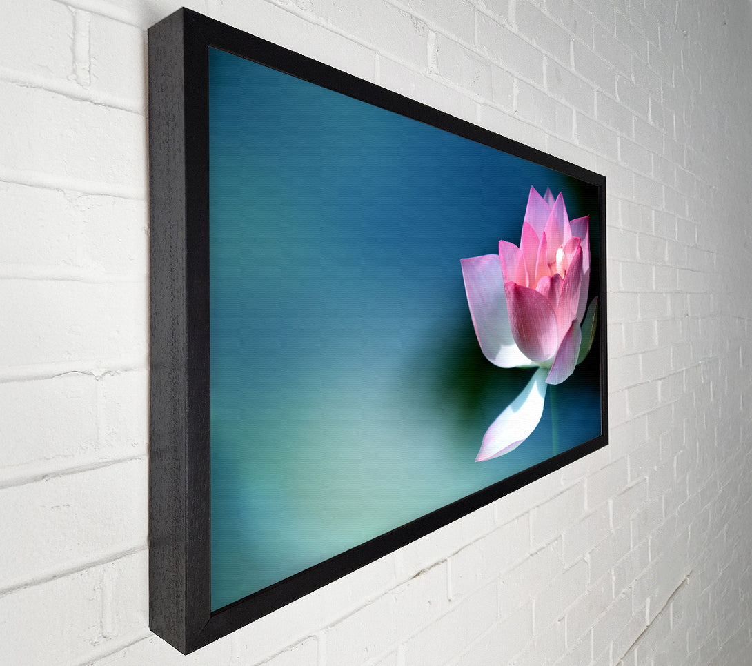  A Canvas Print of Pink flower in detail Canvas Print