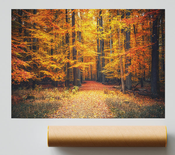 Orange Woods In The Autumn Print