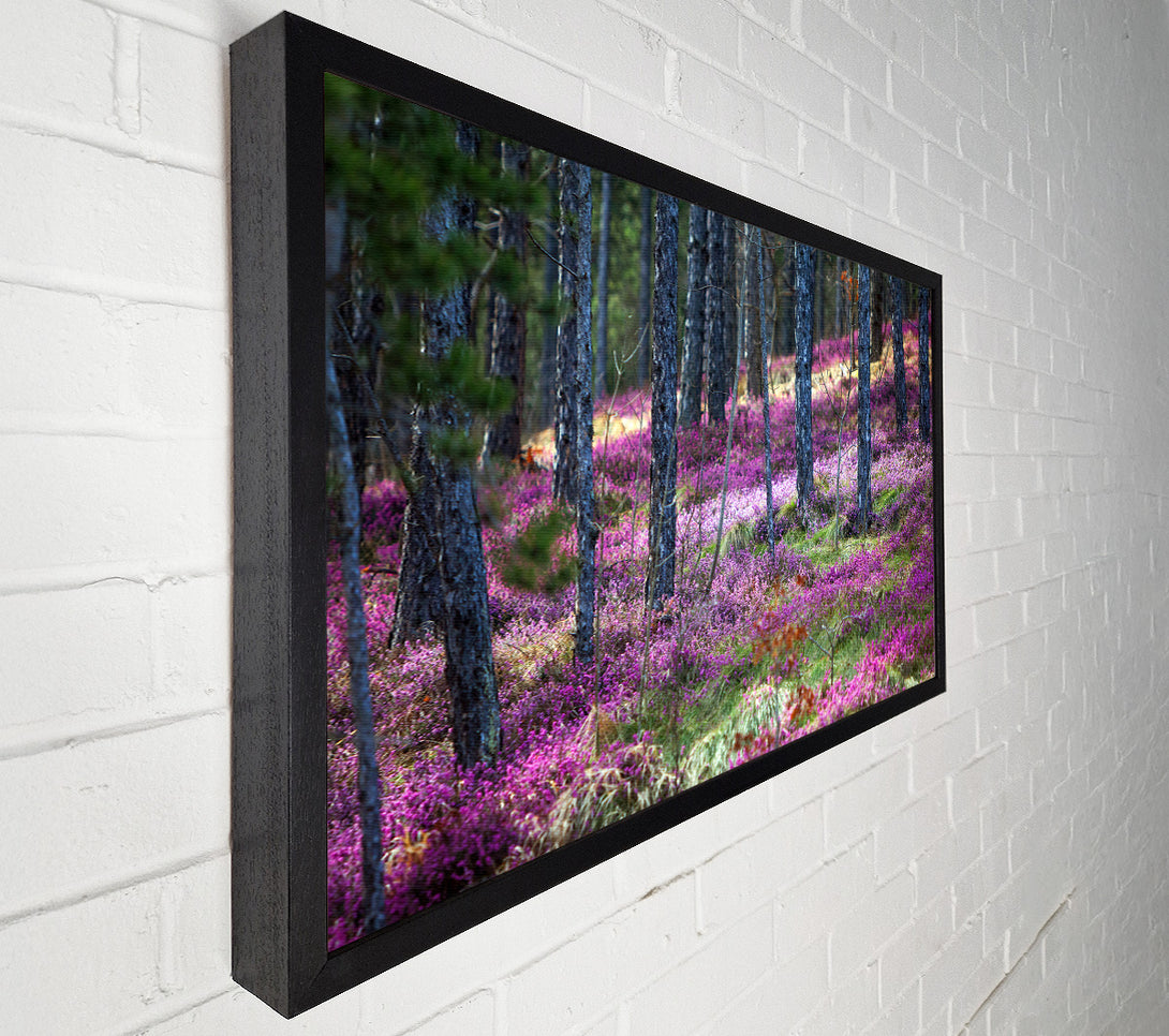  A Canvas Print of Downhill woodlands Canvas Print