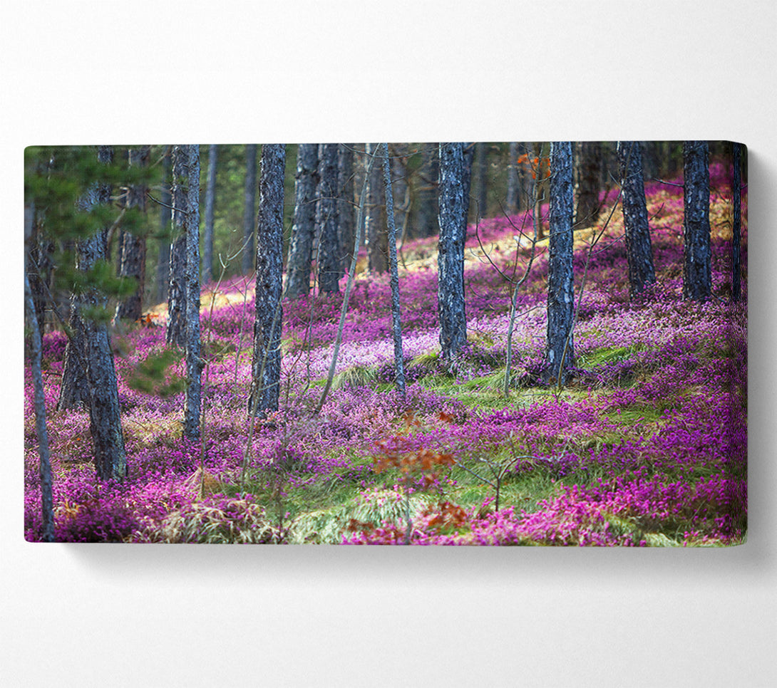  A Canvas Print of Downhill woodlands Canvas Print