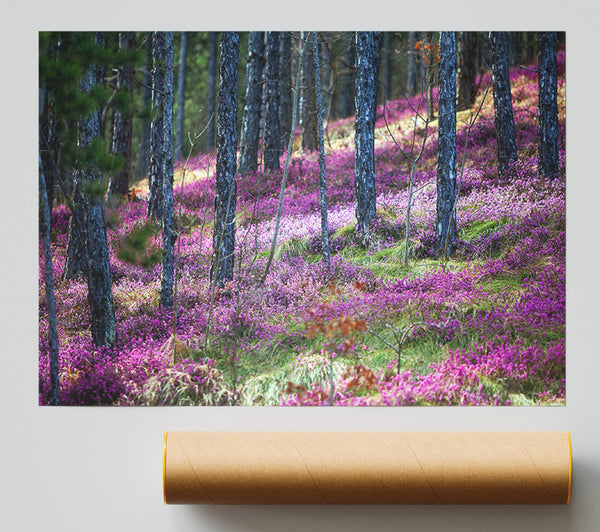 Downhill Woodlands Poster