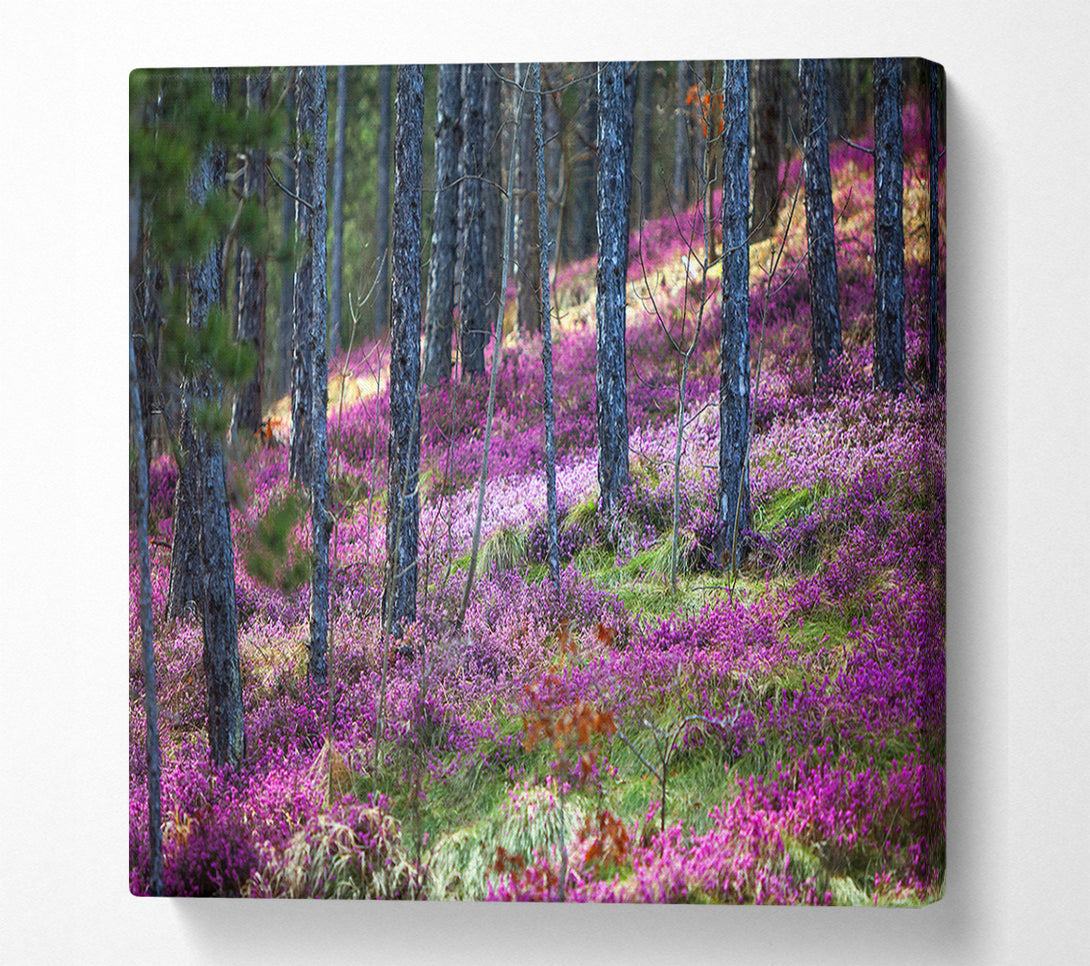  A Canvas Print of Downhill woodlands Canvas Print