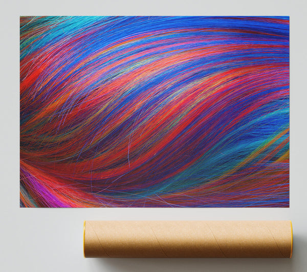 Multicoloured Hair Up Close Poster