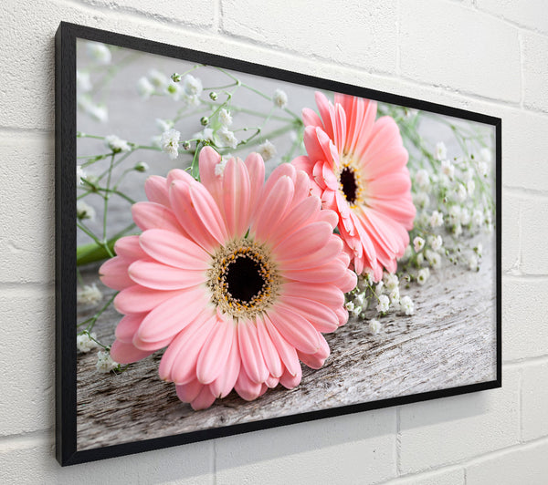 Pink gerbera laying down close