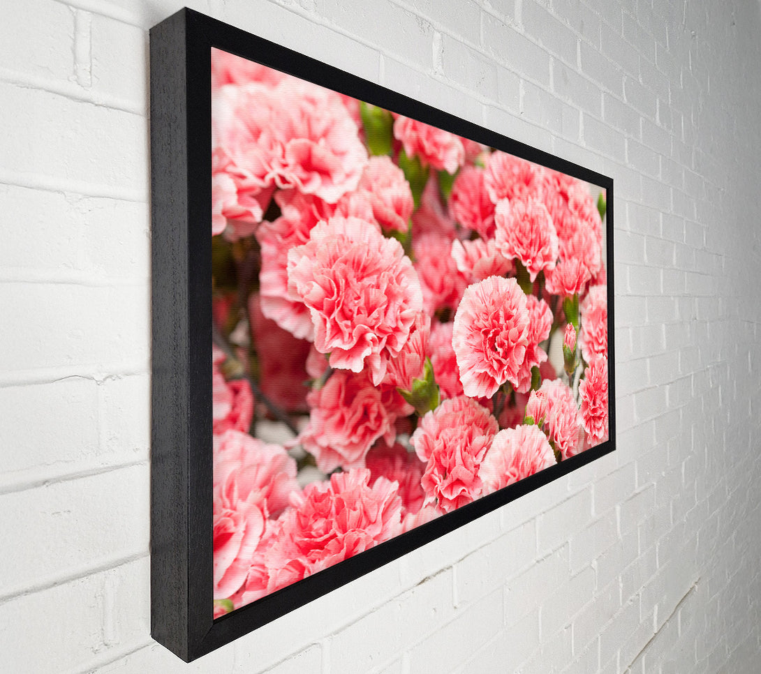  A Canvas Print of Pink floweres of plenty Canvas Print