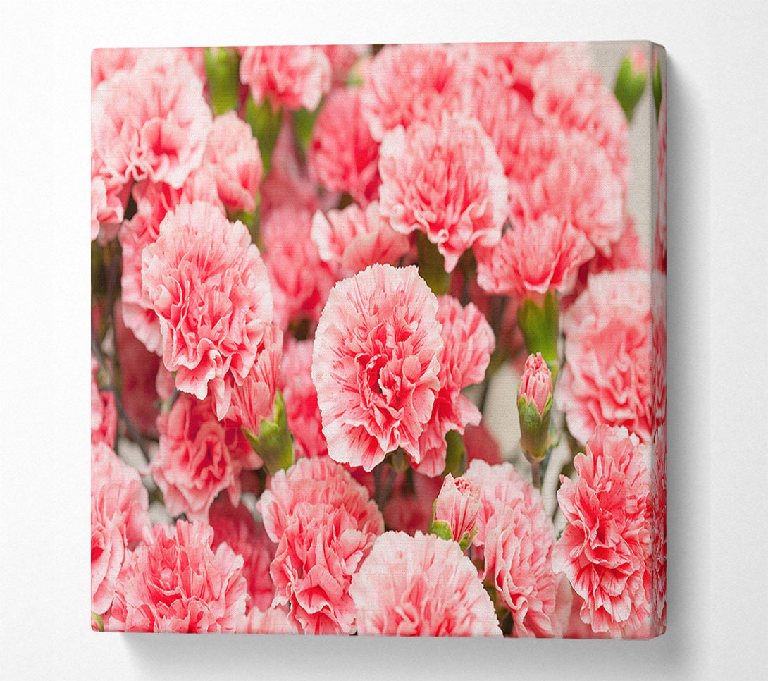  A Canvas Print of Pink floweres of plenty Canvas Print