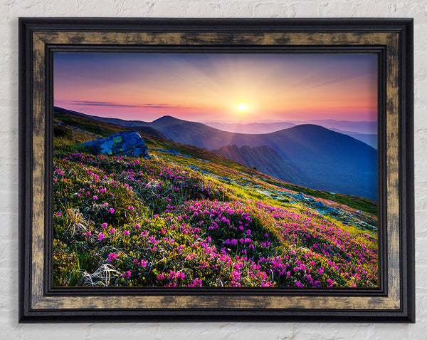 Mountain views of beauty Framed Print