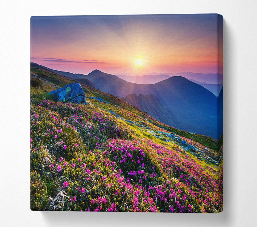  A Canvas Print of Mountain views of beauty Canvas Art