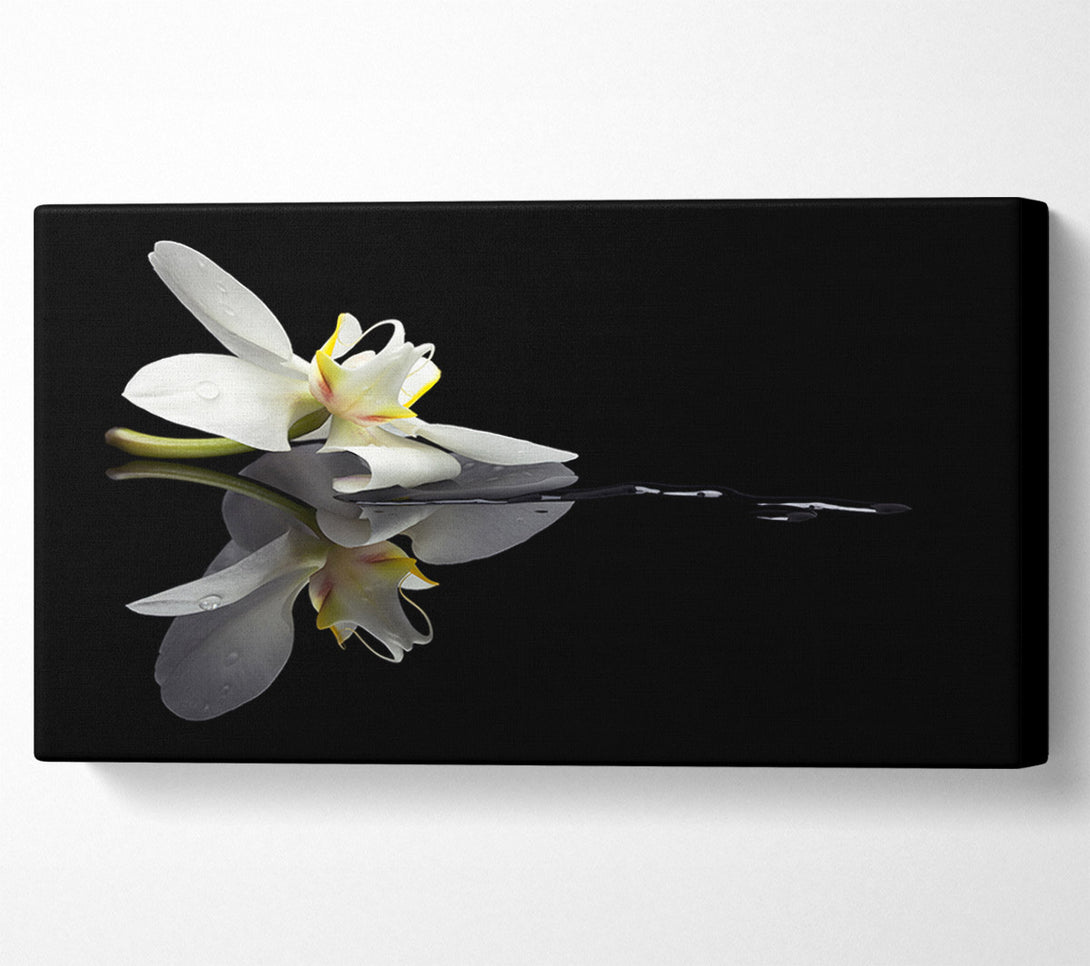  A Canvas Print of Orchid on black Canvas Art