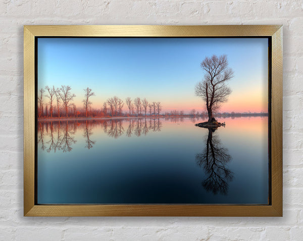 Ice cold trees in the river Framed Print