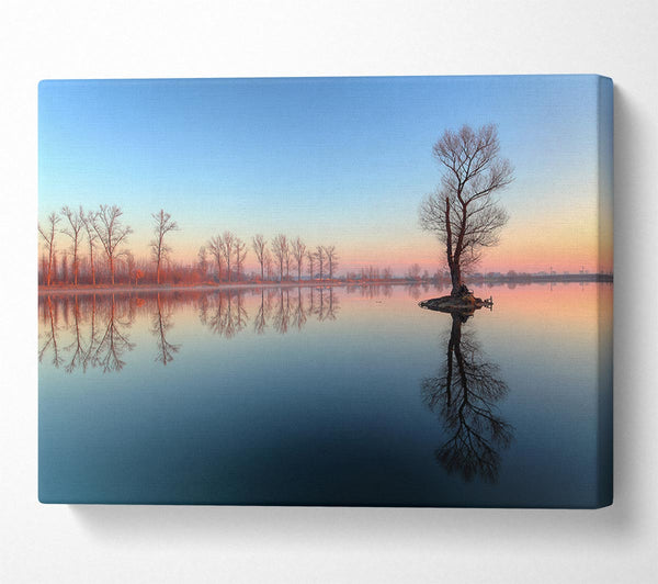  A Canvas Print of Ice cold trees in the river Canvas Wall Art