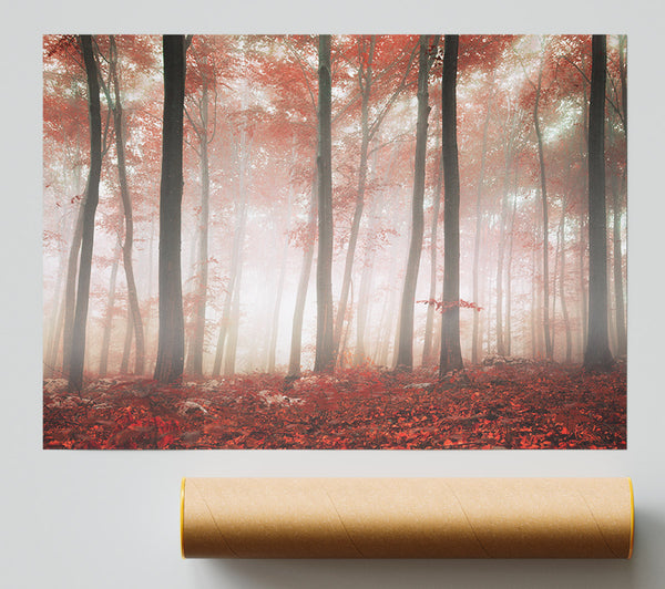 Red Misty Woods Giclee Print