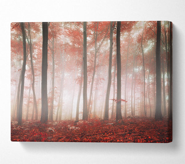  A Canvas Print of Red misty woods Canvas Print