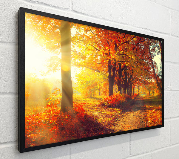 Autumn wonder
