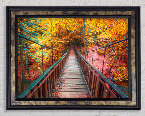 The rope bridge through the forest Framed Print