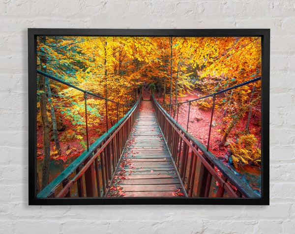 The rope bridge through the forest Framed Print