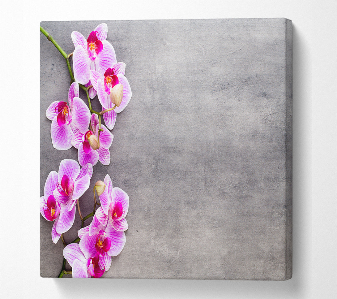  A Canvas Print of Pink Orchids on grey Canvas Print