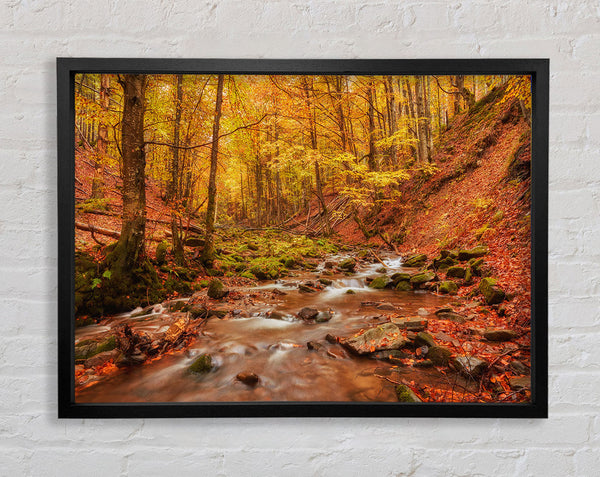 Soft trickling water through the trees Framed Print