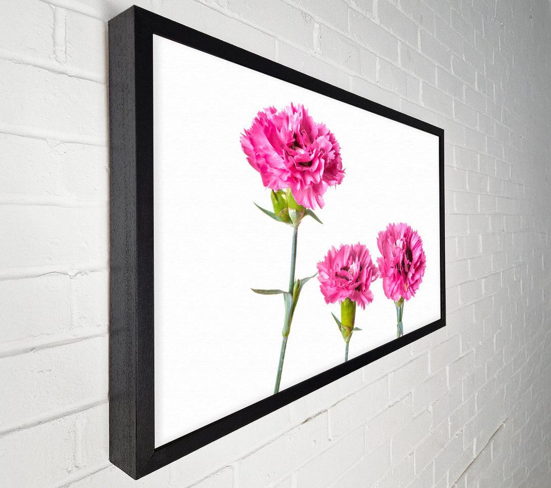  A Canvas Print of Pink flowers standing up Canvas Print
