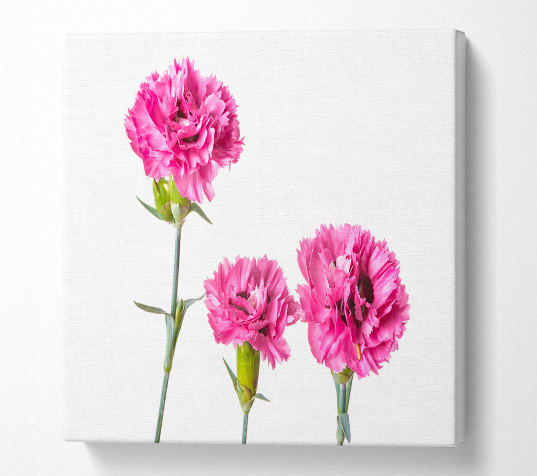  A Canvas Print of Pink flowers standing up Canvas Print