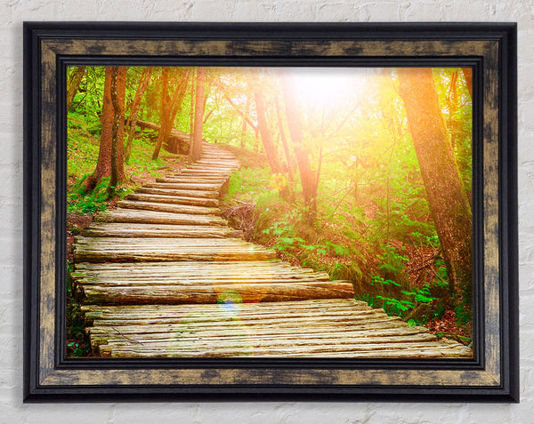 Log trail through the woods Framed Print