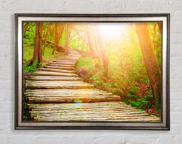 Log trail through the woods Framed Print