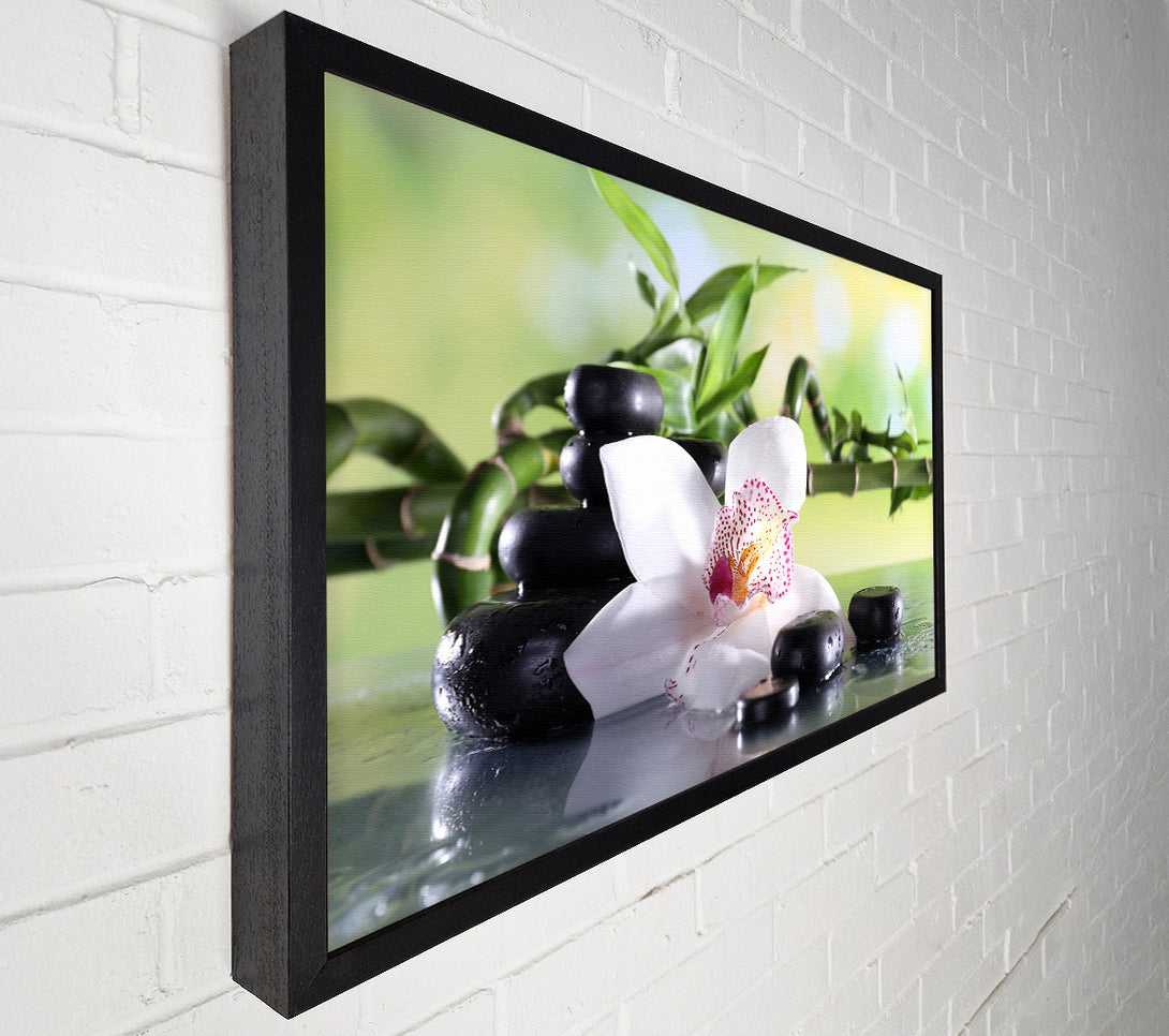  A Canvas Print of Orchids on the stones bamboo Canvas Art