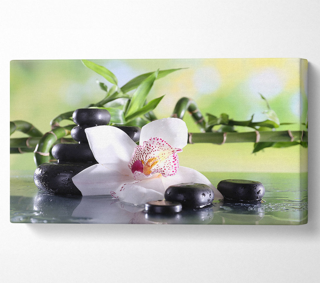  A Canvas Print of Orchids on the stones bamboo Canvas Art
