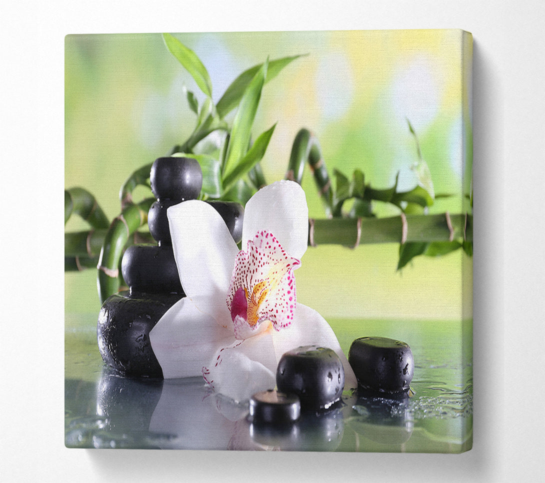  A Canvas Print of Orchids on the stones bamboo Canvas Art