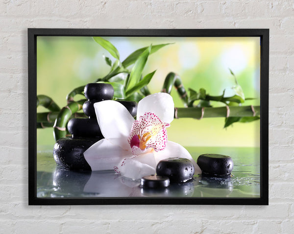 Orchids on the stones bamboo Framed Print