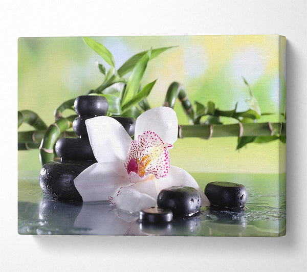  A Canvas Print of Orchids on the stones bamboo Canvas Art