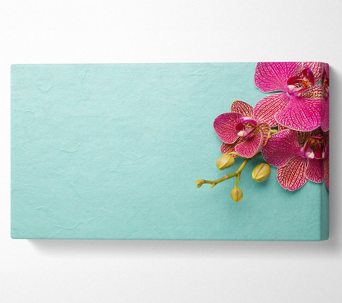  A Canvas Print of Orchids on the blue Canvas Art