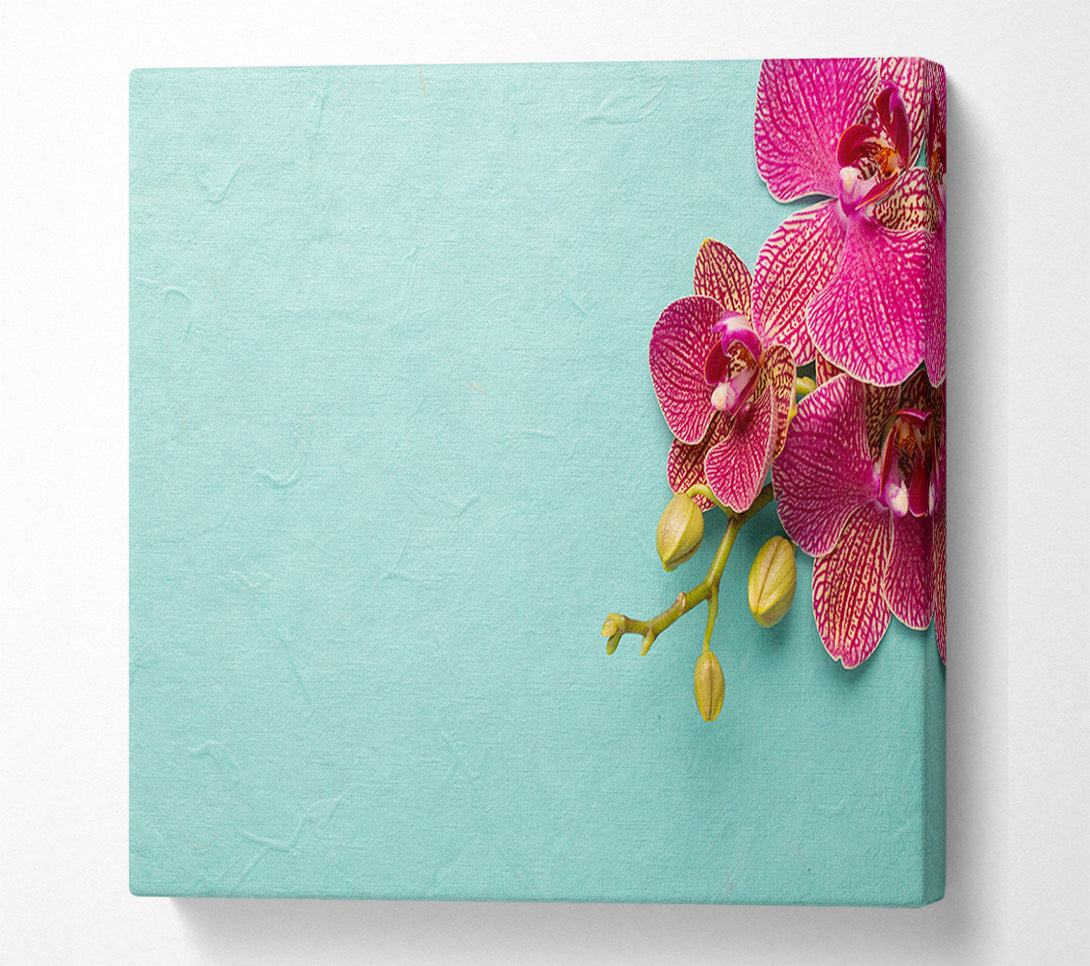  A Canvas Print of Orchids on the blue Canvas Art