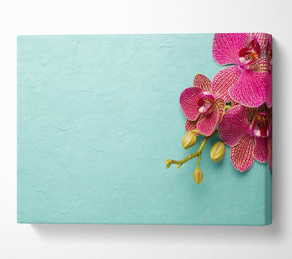  A Canvas Print of Orchids on the blue Canvas Art