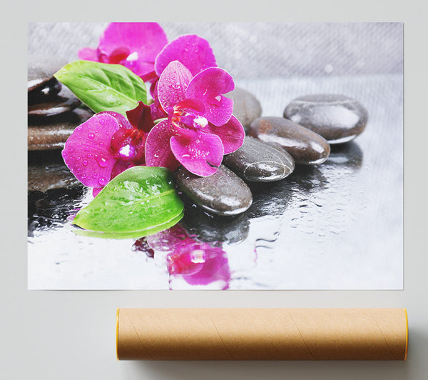 Orchids On The Wet Pebbles Giclee Print