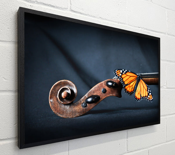 Butterfly resting on Instrument