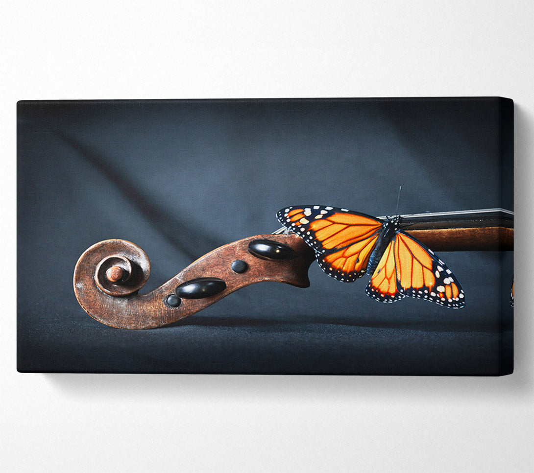  A Canvas Print of Butterfly resting on Instrument Canvas Print