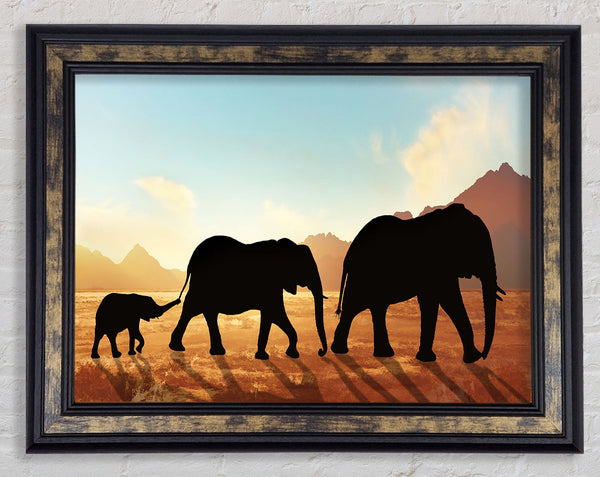 Elephants sillouette walking Framed Print
