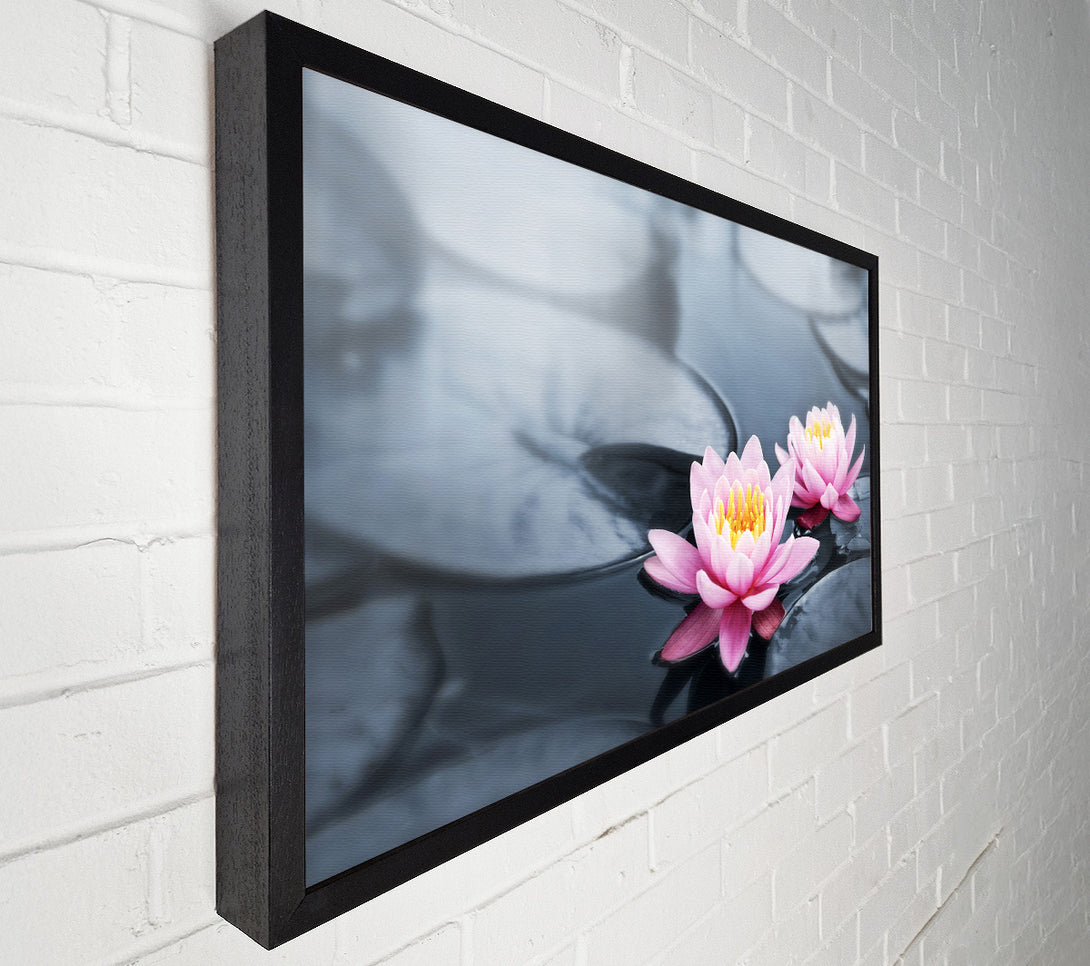  A Canvas Print of Flowers on the water floating Canvas Wall Art