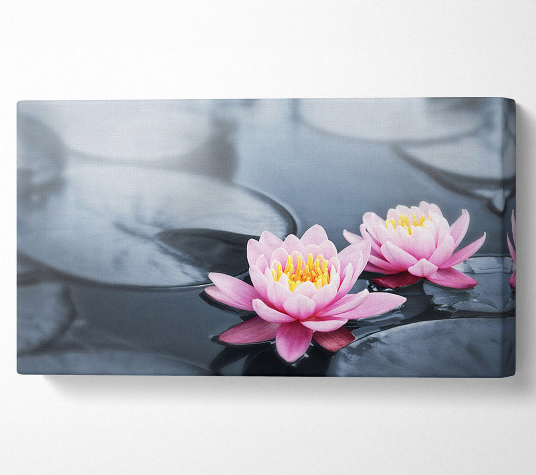  A Canvas Print of Flowers on the water floating Canvas Wall Art