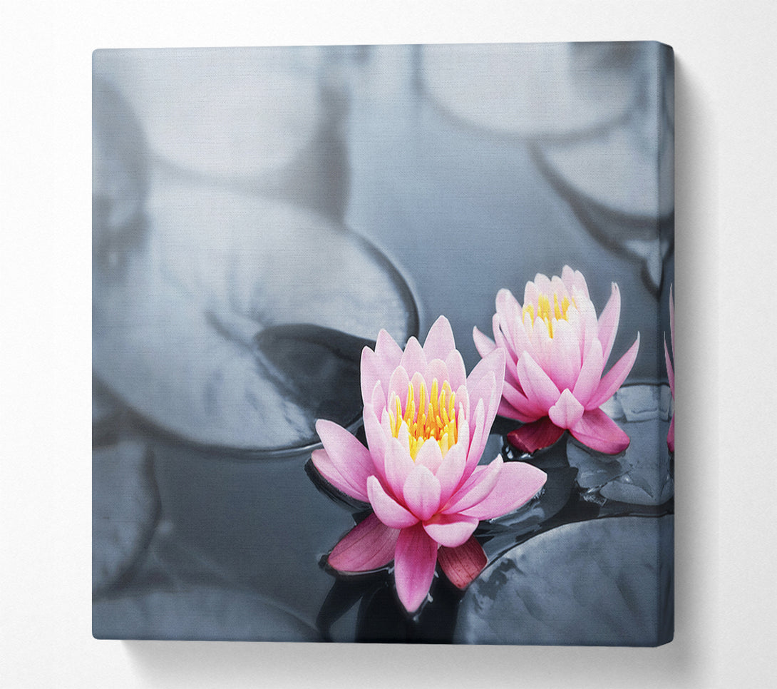  A Canvas Print of Flowers on the water floating Canvas Wall Art