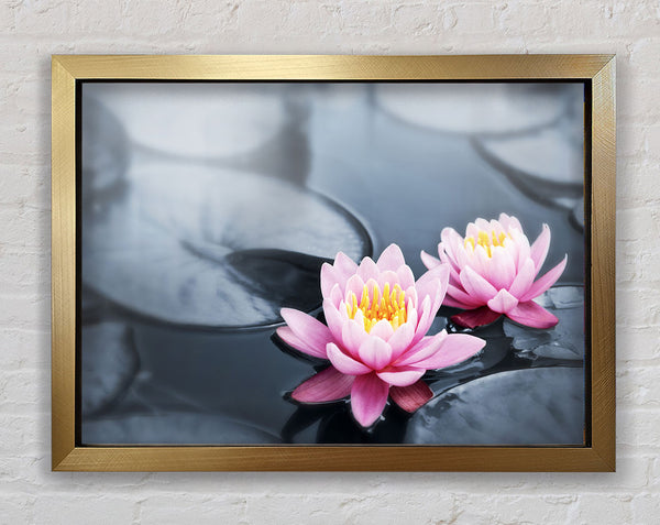 Flowers on the water floating Framed Print