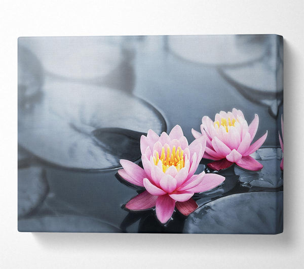  A Canvas Print of Flowers on the water floating Canvas Wall Art